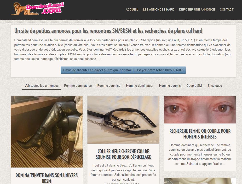 Dominaland page accueil du site